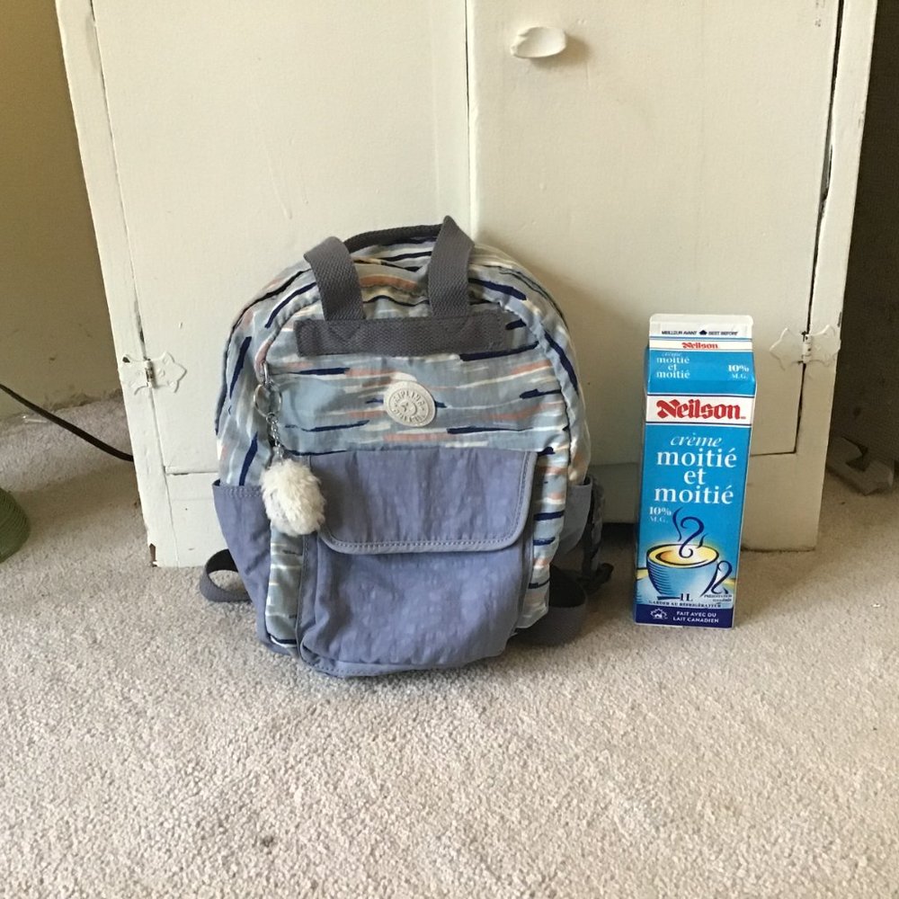 Kipling Small Backpack - Picture 3 of 5